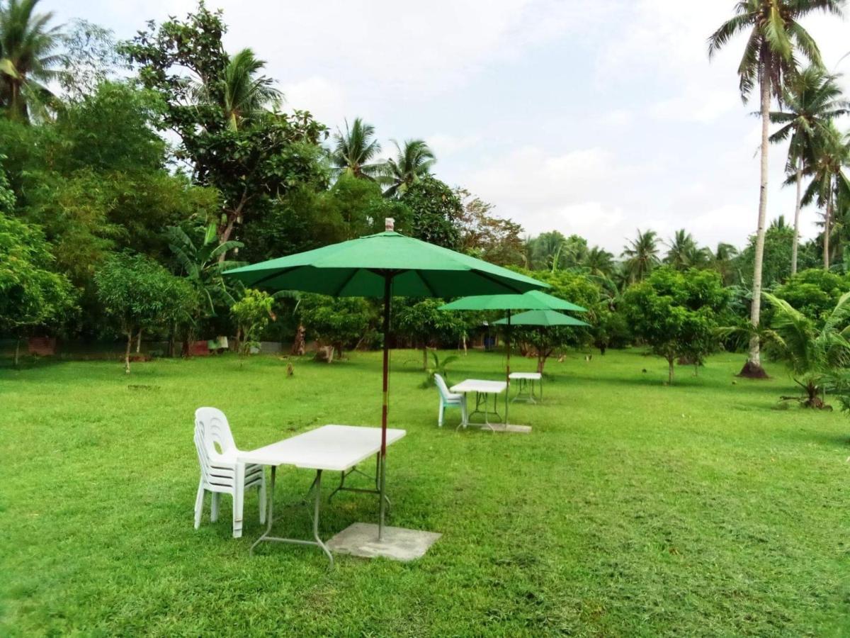 Dreamink Farm Og Myl'S Place Sorsogon Exterior photo